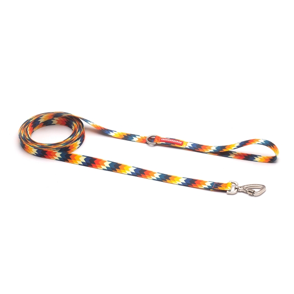 SUPER GUIA PARA CACHORROS INTI