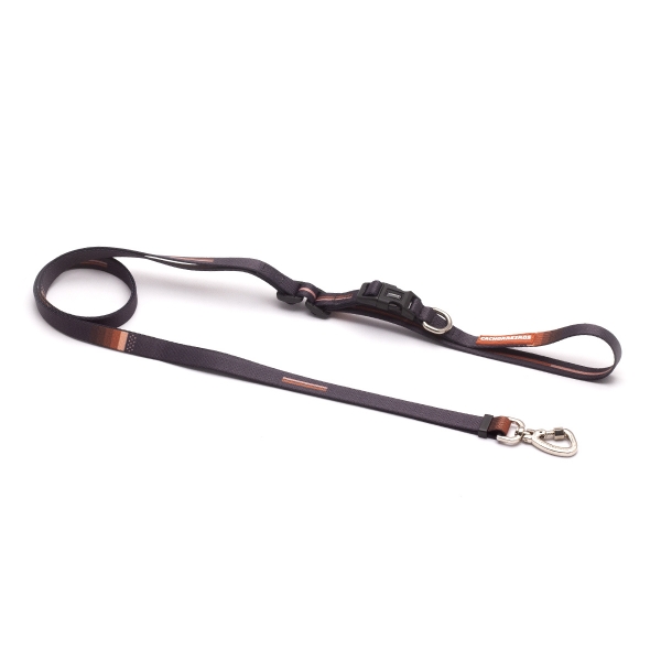 Guia Running para cachorros Bob e Marley